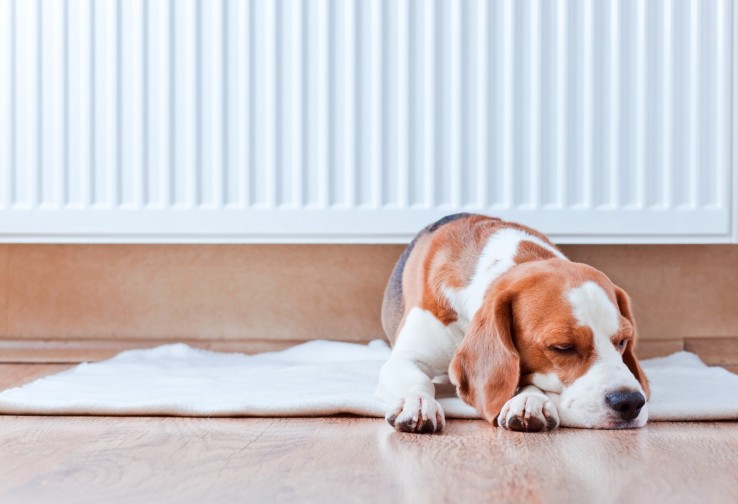 Auditoría energética calefacción en hogares